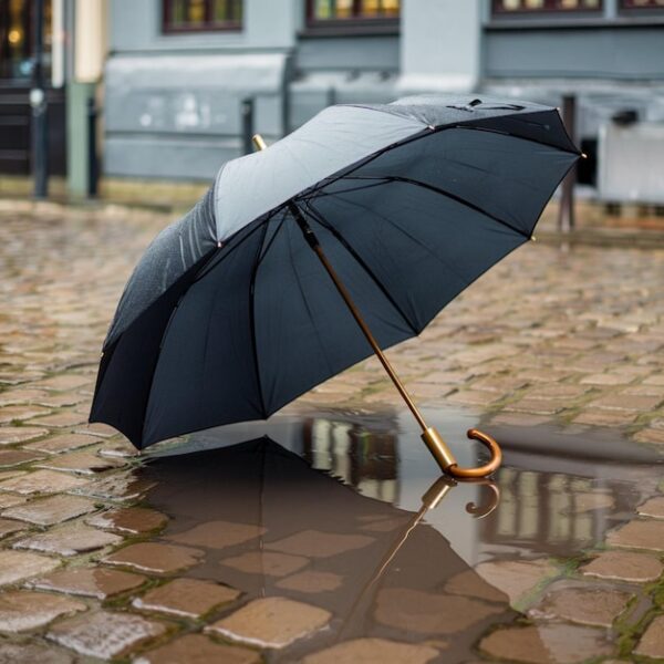 PARAGUAS E IMPERMEABLES